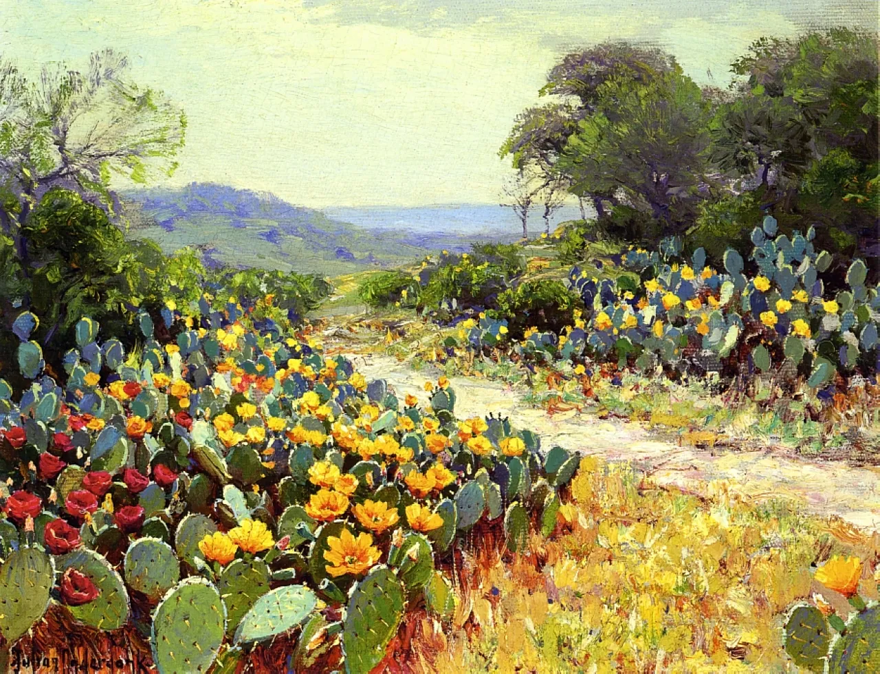 Cactus in bloom